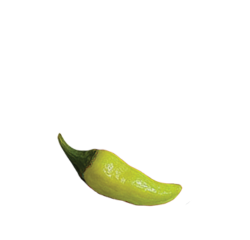 Joe's Ranch